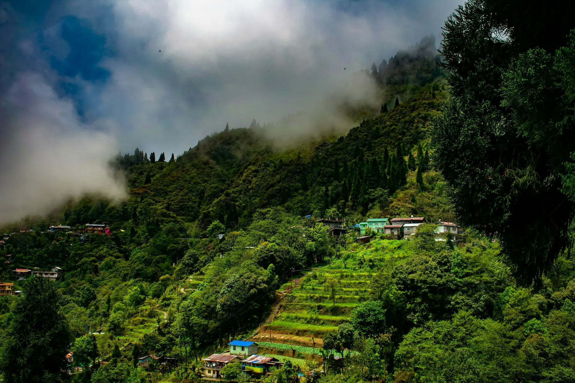 cloudy forest with houses on foot of hill