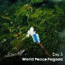 Day 5.webp